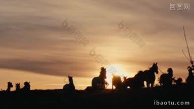 一群<strong>野马</strong>在粉色的夕阳下穿过黄色的山丘